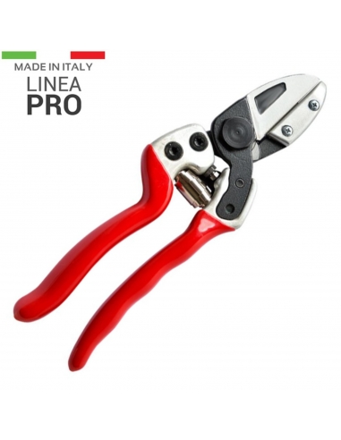 PROFESSIONAL IMAGE PRUNING CUT WEDGE...