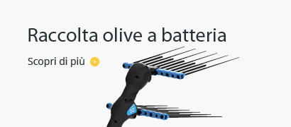 Raccolta olive a batteria