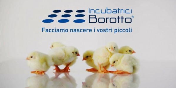 BOROTTO - A STEP AHEAD IN INCUBATION SCIENCE