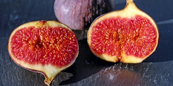 THE HARVESTING OF FIGS