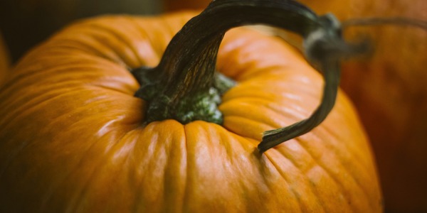 HOW TO HARVEST AND STORE PUMPKINS