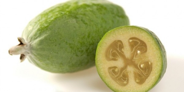 HAVE YOU ALREADY HARVESTED FEIJOAS?