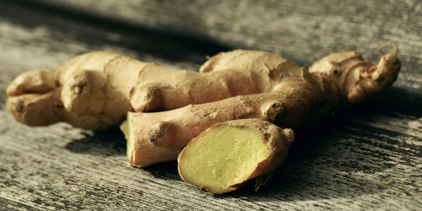 CULTIVATE GINGER