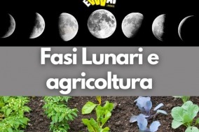 Le Fasi Lunari e l'agricoltura